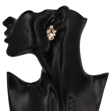 Amber Crystal Stud Earrings